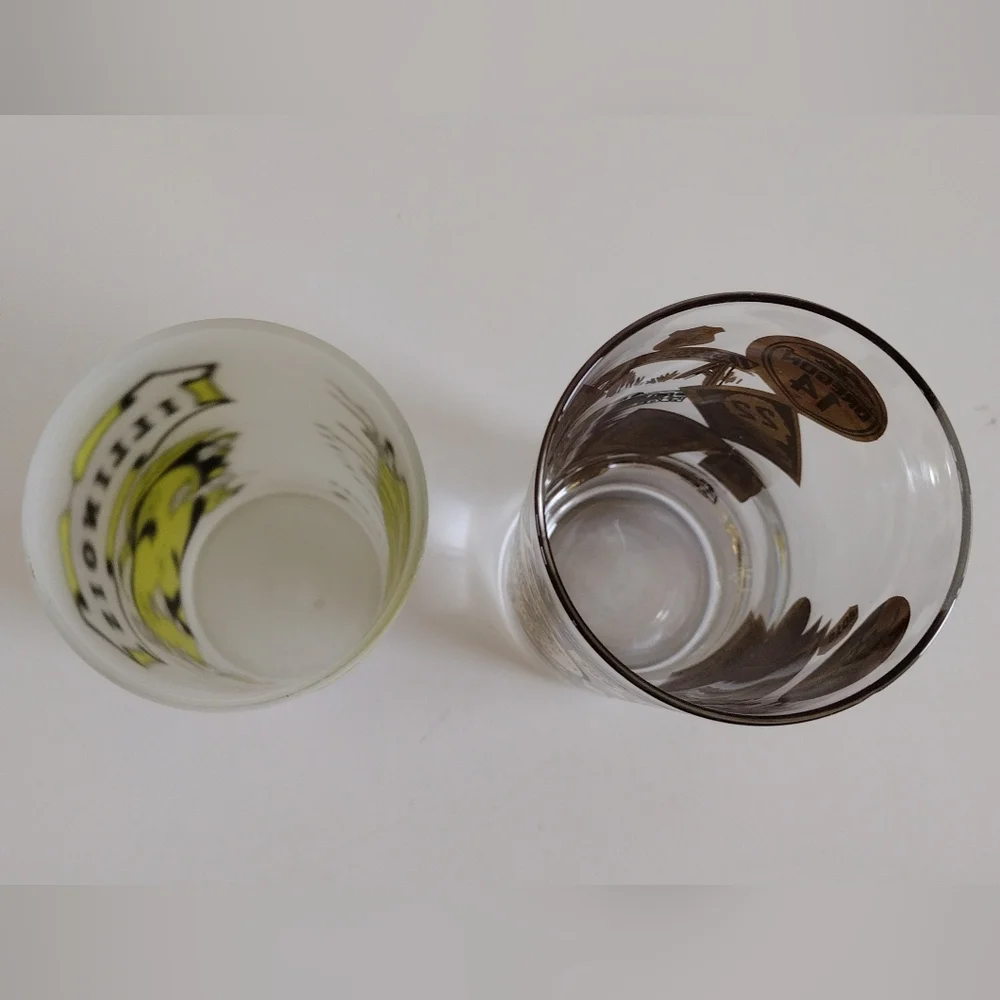 Chicago Road Trip Highball Glass and Hazel Atlas Illinois Frosted Glass